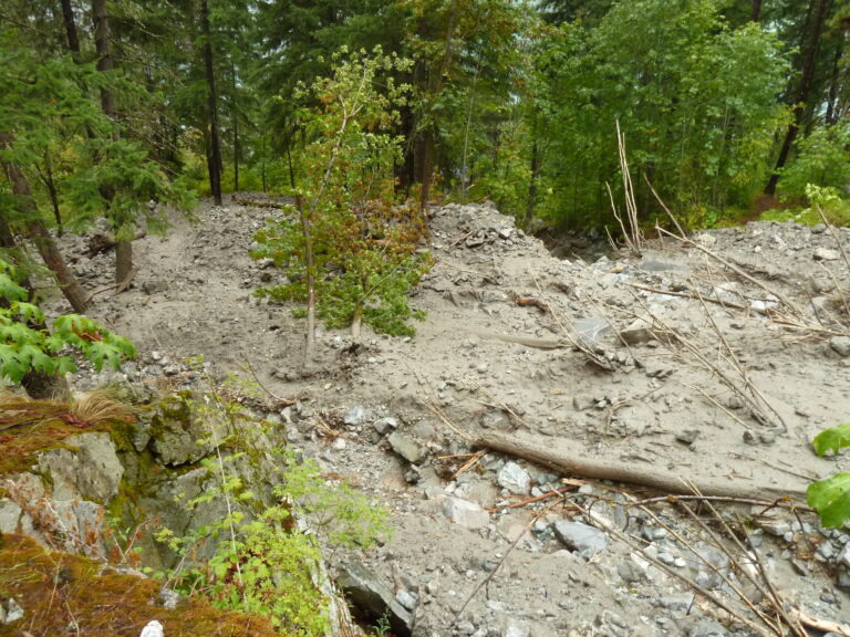 Debris from a mudslide covering a forested slope in San Bernardino County, with trees, rocks, and branches scattered across the muddy ground.