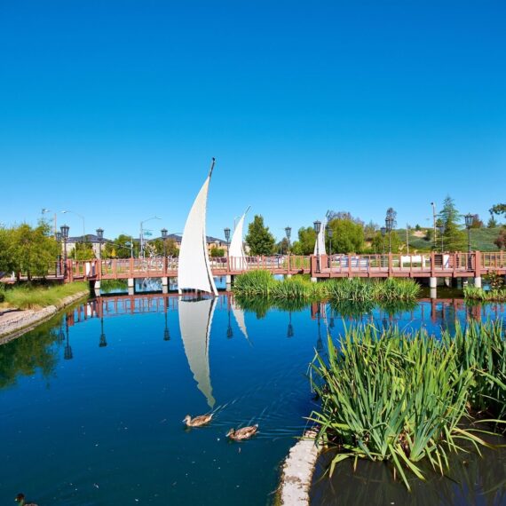 A view of the duck pond in Bridgeport, Valencia, Santa Clarita, CA